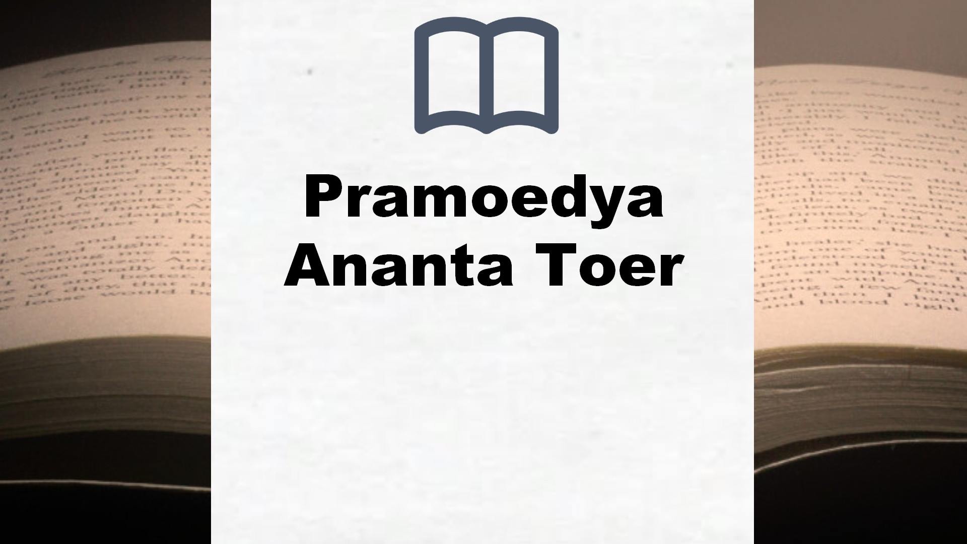 Libros Pramoedya Ananta Toer